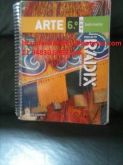 Livro De Artes Radix 6º Ano Em Bom Estado